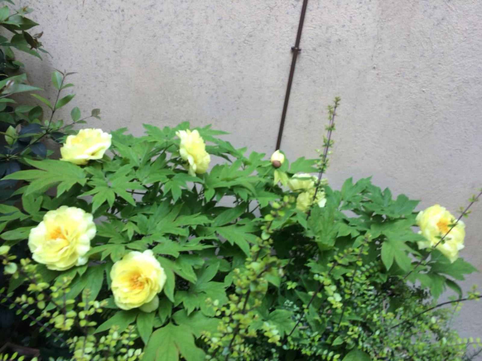 Giardino Segreto - History And Design Apartment Bologna Bagian luar foto