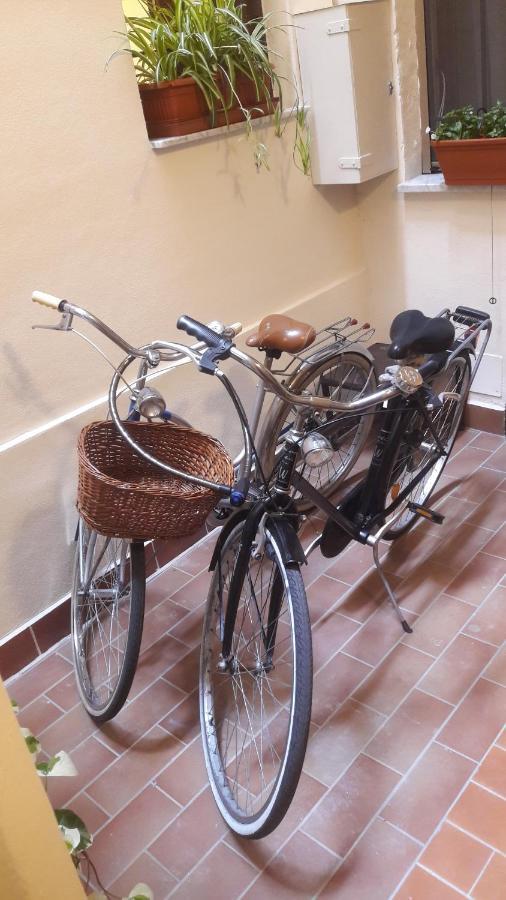 Giardino Segreto - History And Design Apartment Bologna Bagian luar foto